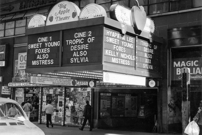 Lost Adult Theaters Of New York Then And Now The Rialto Report