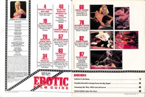 Erotic Film Guide