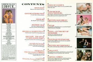Erotic Film Guide