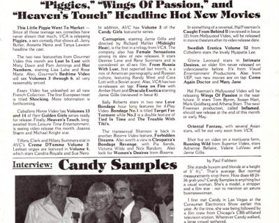 Adult Video News – The Complete Second Year (1984)